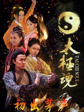 太极魂之初出茅庐
