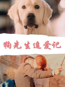狗先生追爱记