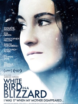 暴风雪中的白鸟