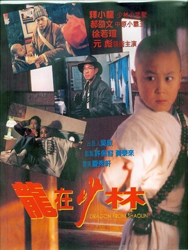 龙在少林
