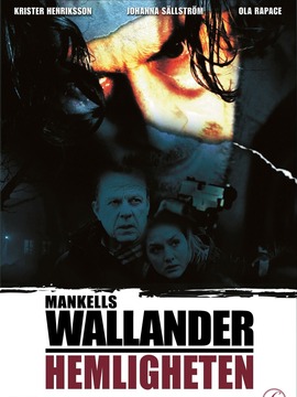 沃兰德探长系列：秘密