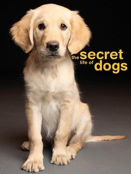 地平线系列：狗狗秘闻