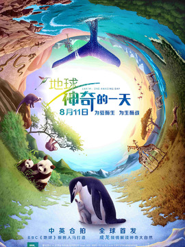 地球：神奇的一天