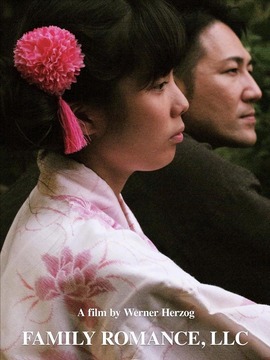 家庭罗曼史有限公司