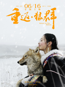 重返·狼群