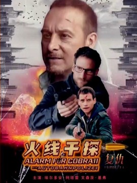 火线干探之复仇