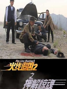 火线追凶2之押解惊魂