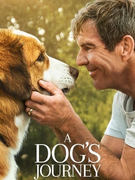 一条狗的旅程