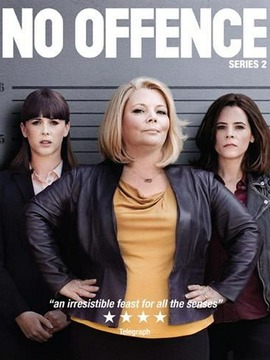 无意冒犯第二季