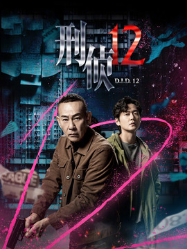 刑侦12