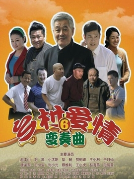 乡村爱情变奏曲