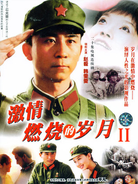 激情燃烧的岁月2
