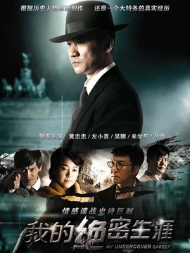 我的绝密生涯