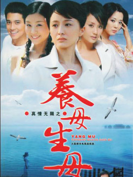 真情无限之养母生母