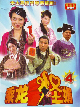 乘龙怪婿4